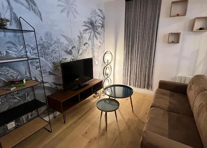 Appartement Le 49 Carnot Plein Cœur De Poitiers